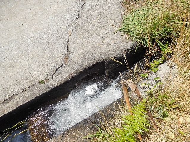 Levada da Negra (e Curral Martinho) — Die letzten Meter — Foto 5