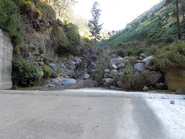 Levada do Pico do Cardo — Bachverbauung (2017) — Foto 2