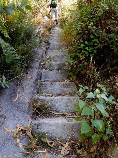 Levada do Pico do Cardo — Bilder kurz vor dem Zusammenfluss mit der Levada do Pico do Curral (2017) — Foto 8