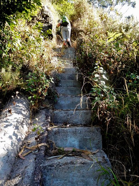 Levada do Pico do Cardo — Bilder kurz vor dem Zusammenfluss mit der Levada do Pico do Curral (2017) — Foto 7