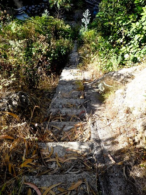 Levada do Pico do Cardo — Bilder kurz vor dem Zusammenfluss mit der Levada do Pico do Curral (2017) — Foto 6