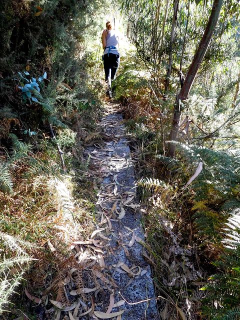 Levada do Pico do Cardo — Bilder kurz vor dem Zusammenfluss mit der Levada do Pico do Curral (2017) — Foto 4