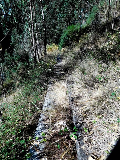 Levada do Pico do Cardo — Bilder kurz vor dem Zusammenfluss mit der Levada do Pico do Curral (2017) — Foto 3