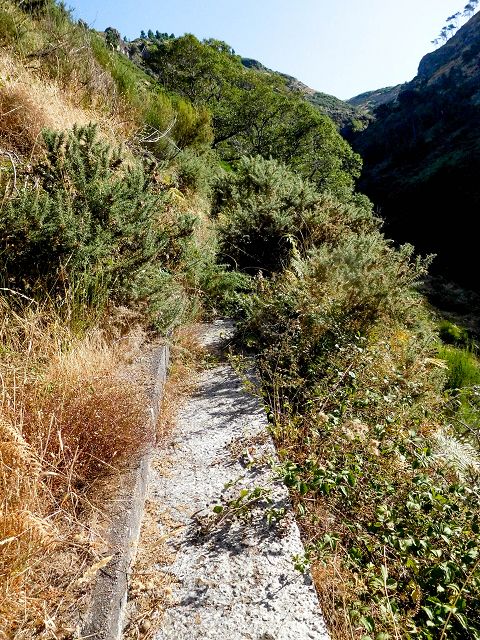 Levada do Pico do Cardo — Bilder kurz vor dem Zusammenfluss mit der Levada do Pico do Curral (2017) — Foto 1