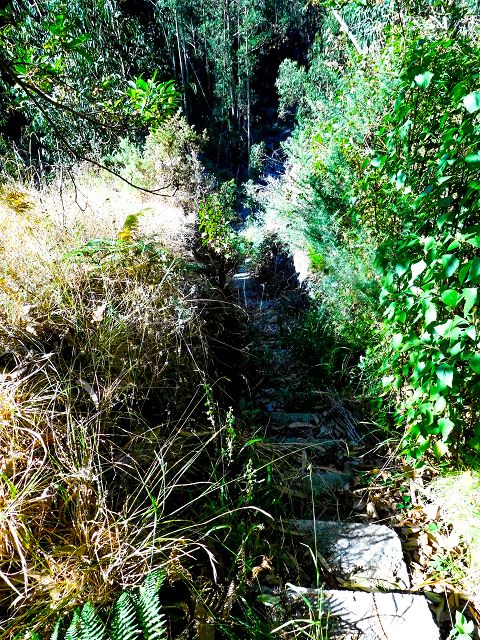 Levada do Pico do Cardo — Bilder kurz vor dem Zusammenfluss mit der Levada do Pico do Curral (2017) — Foto 2