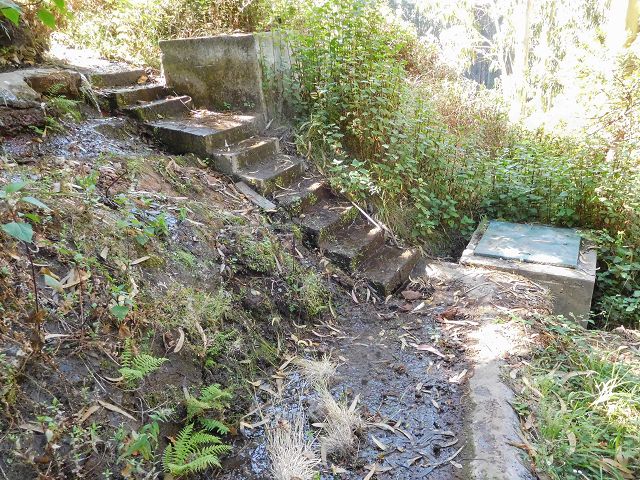 Levada do Pico do Curral — Von der Brücke bis zum Zusammenfluss mit der Levada do Pico do Cardo (2017) — Foto 9