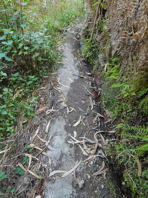 Levada do Pico do Curral — Von der Brücke bis zum Zusammenfluss mit der Levada do Pico do Cardo (2017) — Foto 8