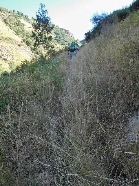 14 August 2017 Levada do Pico do Curral and da Serra de Santo António — On the Levada do Pico do Curral to the bridge — photo 6