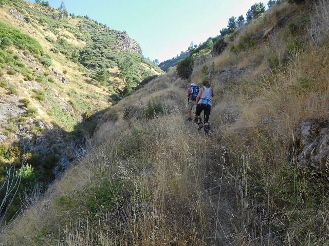 Levada do Pico do Curral — Von der Brücke bis zum Zusammenfluss mit der Levada do Pico do Cardo (2017) — Foto 4