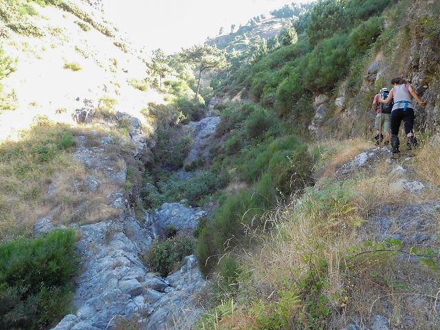 Levada do Pico do Curral — Von der Brücke bis zum Zusammenfluss mit der Levada do Pico do Cardo (2017) — Foto 3
