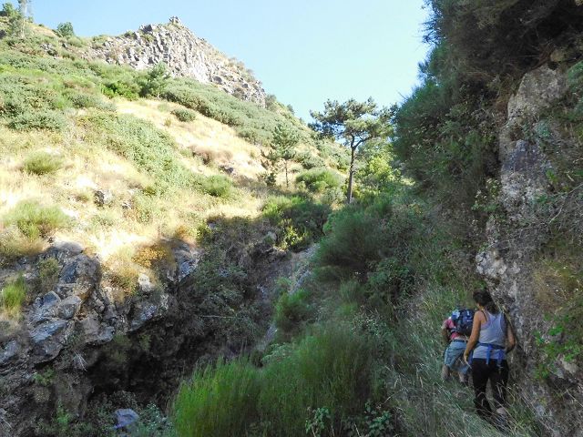 Levada do Pico do Curral — Von der Brücke bis zum Zusammenfluss mit der Levada do Pico do Cardo (2017) — Foto 2