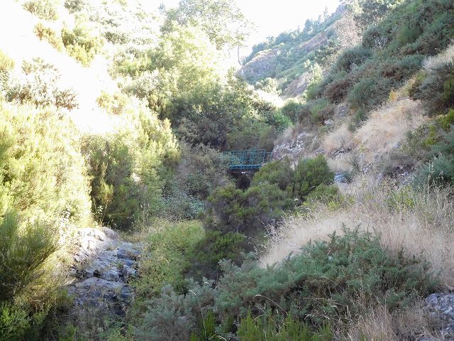 Levada do Pico do Curral — Von der Brücke bis zum Zusammenfluss mit der Levada do Pico do Cardo (2017) — Foto 1