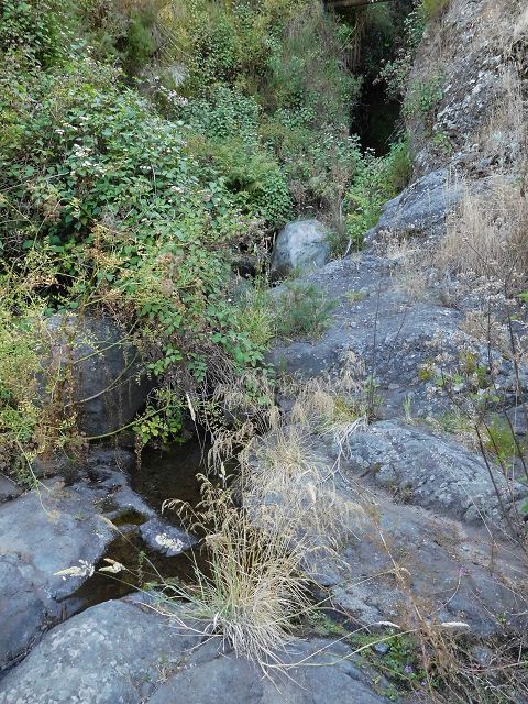14 August 2017 Levada do Pico do Curral and da Serra de Santo António — On the Levada do Pico do Curral to the bridge — photo 13