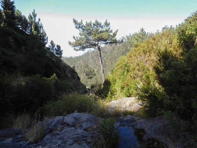 14 August 2017 Levada do Pico do Curral and da Serra de Santo António — On the Levada do Pico do Curral to the bridge — photo 14