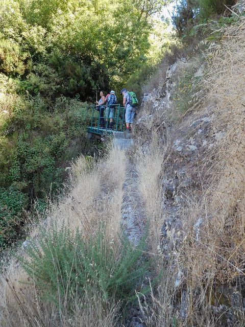 14 August 2017 Levada do Pico do Curral and da Serra de Santo António — On the Levada do Pico do Curral to the bridge — photo 16