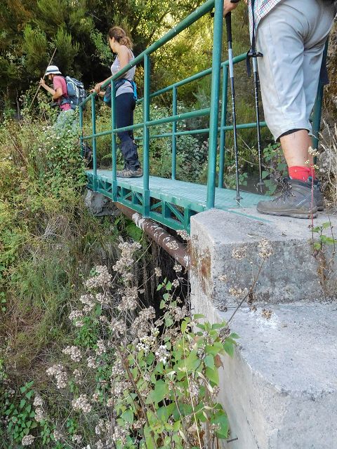 Levada do Pico do Curral — Die Brücke (2017) — Foto 2