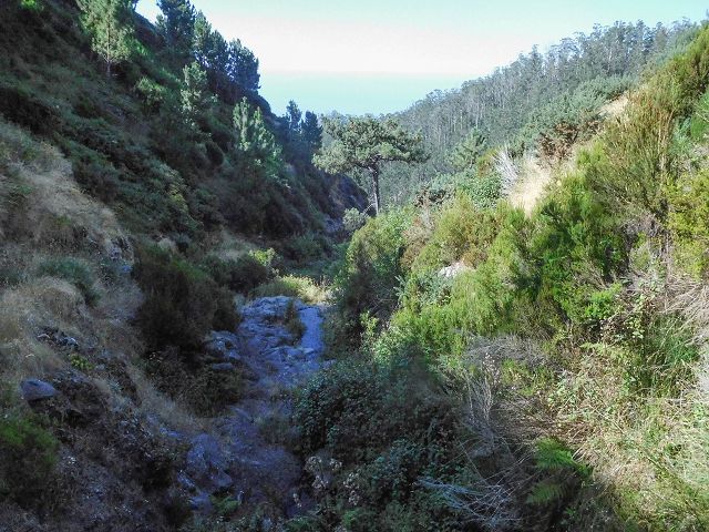 14 August 2017 Levada do Pico do Curral and da Serra de Santo António — On the Levada do Pico do Curral to the bridge — photo 18