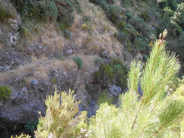 Levada do Pico do Curral — Die Brücke (2017) — Foto 3