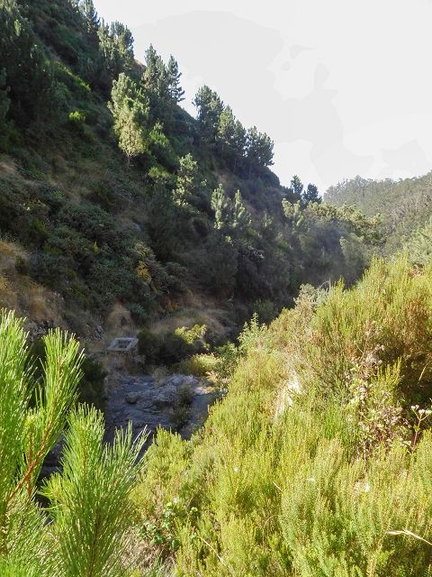 14 August 2017 Levada do Pico do Curral and da Serra de Santo António — The endless steps — photo 1
