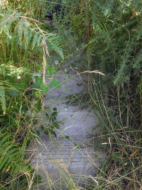Levada do Pico do Curral — Die Lange Betontreppe (2017) — Foto 5