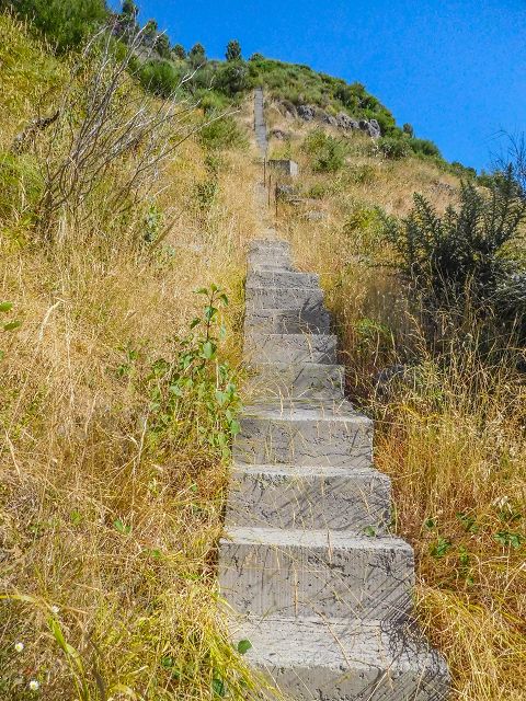 Levada do Pico do Curral — Die Lange Betontreppe (2017) — Foto 4