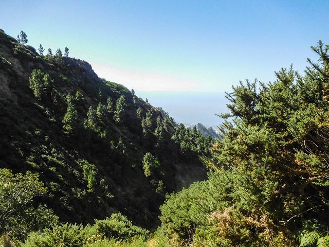 Levada do Pico do Curral — Die Lange Betontreppe (2017) — Foto 3