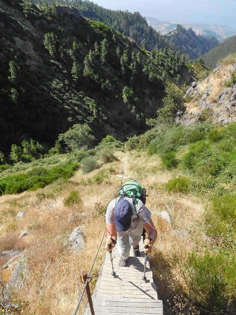 Levada do Pico do Curral — Die Lange Betontreppe (2017) — Foto 2