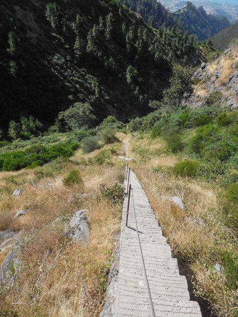 Levada do Pico do Curral — Die Lange Betontreppe (2017) — Foto 1