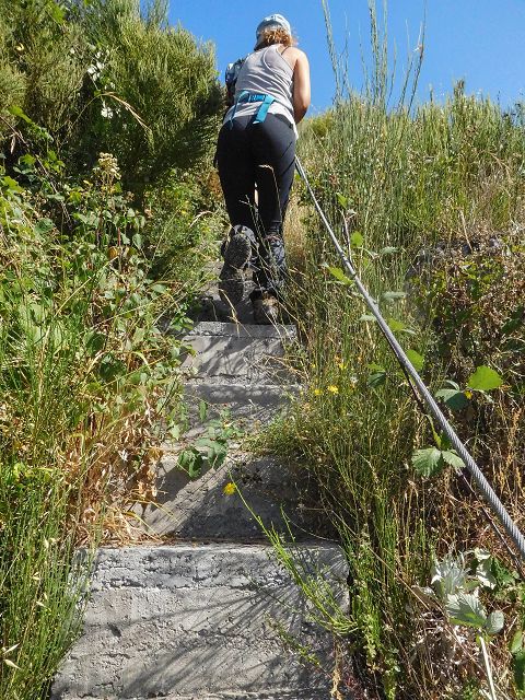 14 August 2017 Levada do Pico do Curral and da Serra de Santo António — The endless steps — photo 7