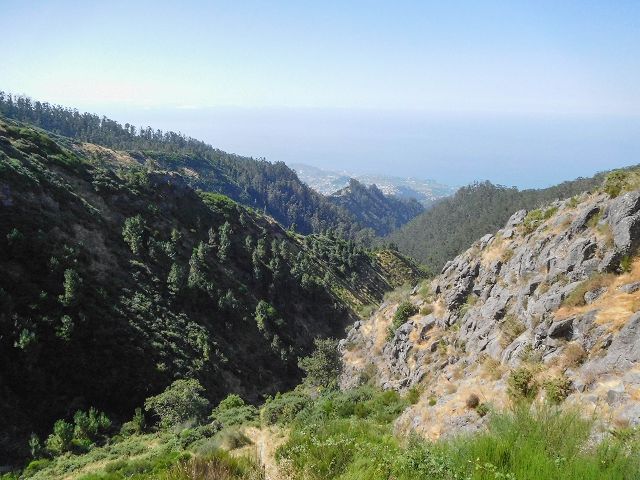 14 August 2017 Levada do Pico do Curral and da Serra de Santo António — The endless steps — photo 8