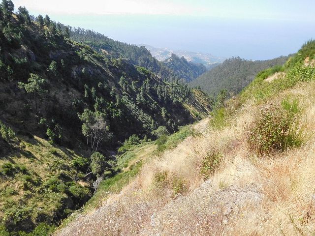 Levada do Pico do Curral — Von der Schotterpiste zu Treppe (2017) — Foto 4