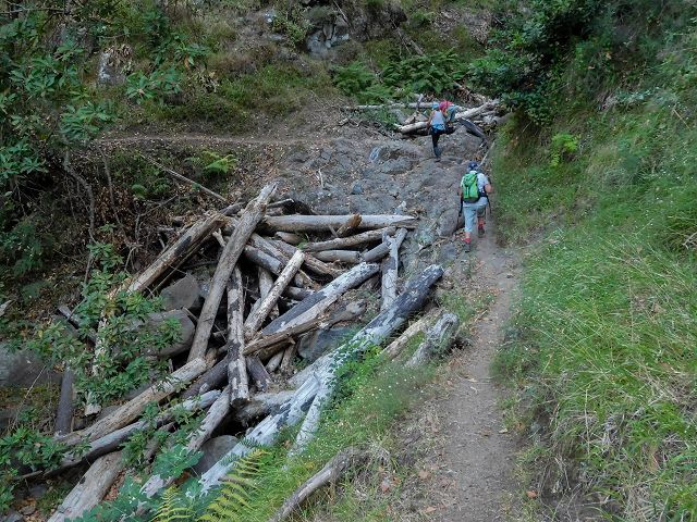 14 August 2017 Levada do Pico do Curral and da Serra de Santo António — From Barreira by a trodden path and the piped levada to the stream-control works — photo 6