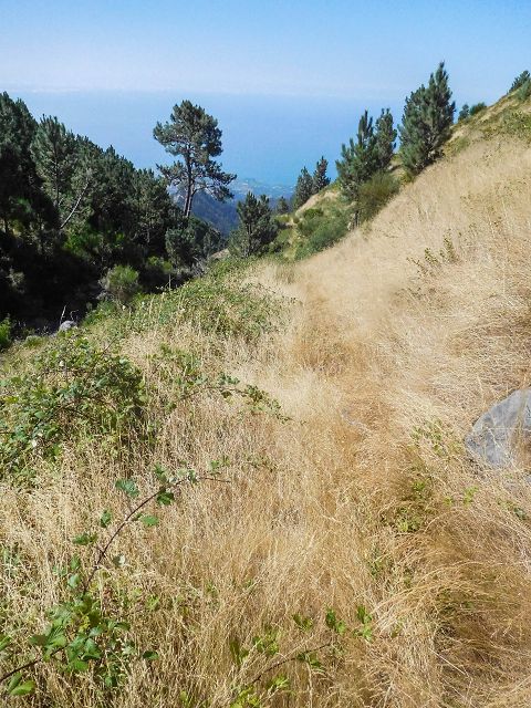 Levada do Pico do Curral — Von der Schotterpiste zu Treppe (2017) — Foto 3
