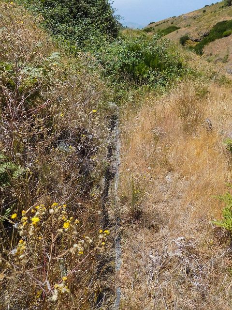 14 August 2017 Levada do Pico do Curral and da Serra de Santo António — Through rough ground along the levada traces to the Madre — photo 4