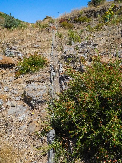 Levada do Pico do Curral — Von der Madre zur Kreuzung mit der Schotterpiste (2017) — Foto 9