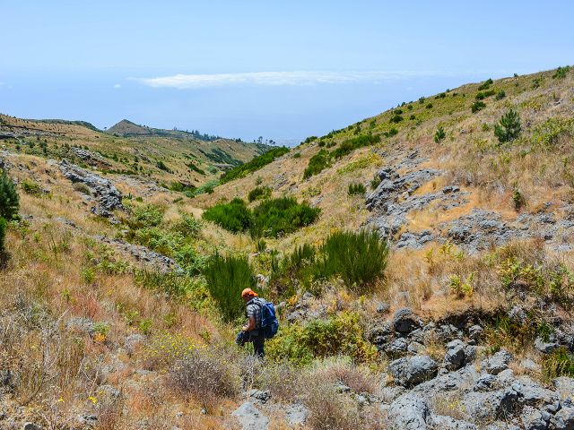 Levada do Pico do Curral — Von der Madre zur Kreuzung mit der Schotterpiste (2017) — Foto 3