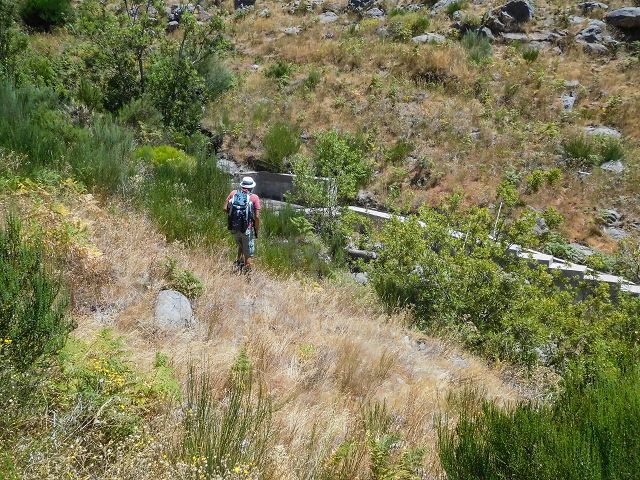 14 August 2017 Levada do Pico do Curral and da Serra de Santo António — Levada da Serra de Santo Antonio — photo 2