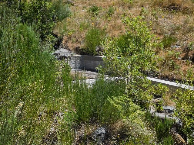 Levada da Negra (e Curral Martinho) — Madre — Foto 1