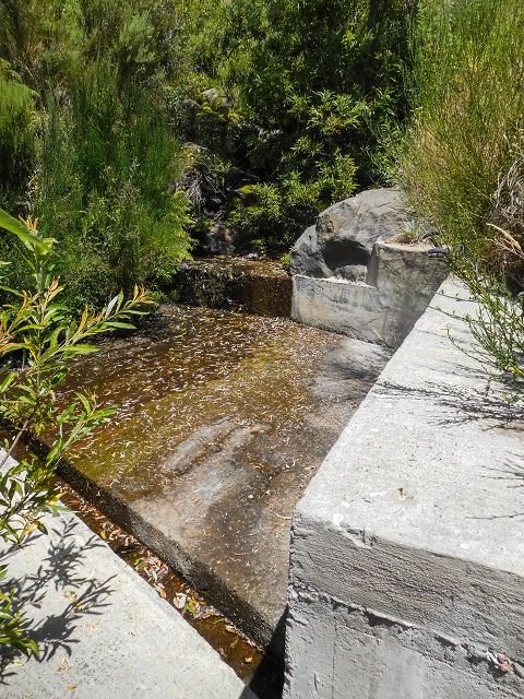 Levada da Negra (e Curral Martinho) — Madre — Foto 3