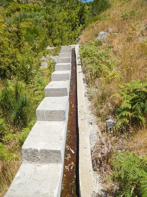 Levada da Negra (e Curral Martinho) — Madre — Foto 4