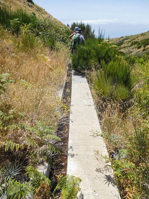 Levada da Negra (e Curral Martinho) — Verlauf im Tal der Levada do Pico do Cardo — Foto 1
