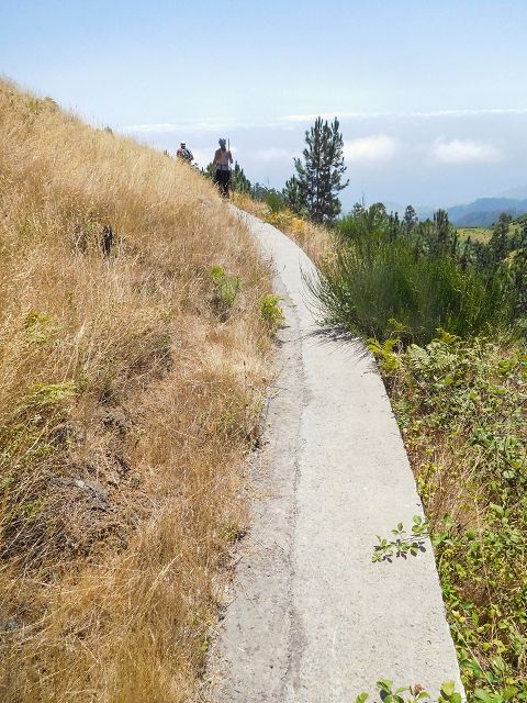 Levada da Negra (e Curral Martinho) — Weiter Richtung Barreira — Foto 5