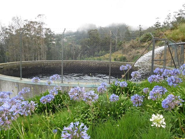 Levada da Negra (e Curral Martinho) — Das Speicherbecken der Levada da Negra in Barreira — Foto 1