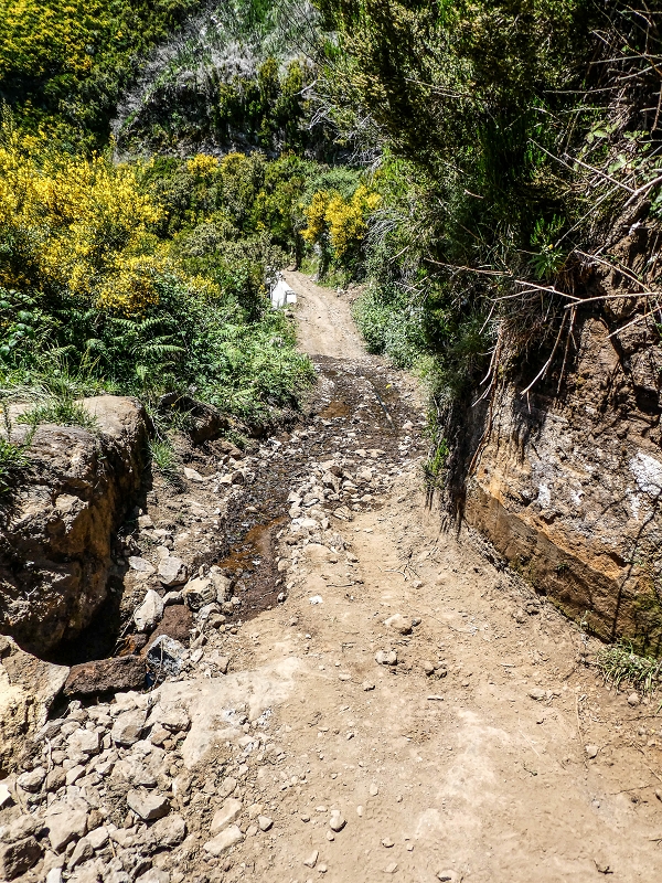 15.05.2019 Das Felsentor an der Levada do Lombo do Mouro — Auf dem Beginn der Levada do Lombo do Mouro — Foto 1
