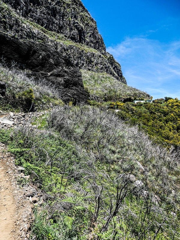 15.05.2019 Das Felsentor an der Levada do Lombo do Mouro — Auf dem Beginn der Levada do Lombo do Mouro — Foto 11