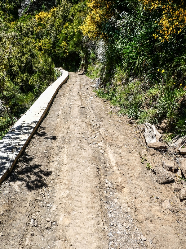 15.05.2019 Das Felsentor an der Levada do Lombo do Mouro — Auf dem Beginn der Levada do Lombo do Mouro — Foto 2