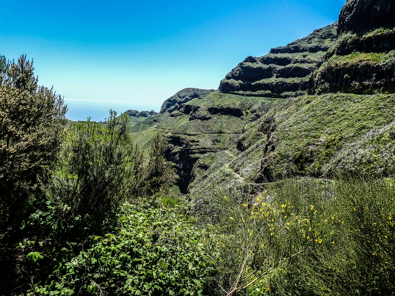 15.05.2019 Das Felsentor an der Levada do Lombo do Mouro — Auf dem Beginn der Levada do Lombo do Mouro — Foto 20
