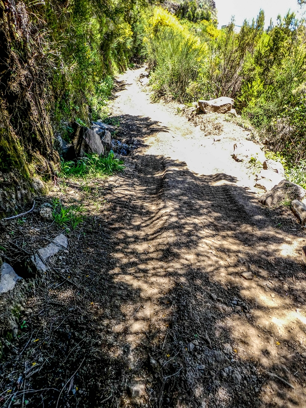 15.05.2019 Das Felsentor an der Levada do Lombo do Mouro — Auf dem Beginn der Levada do Lombo do Mouro — Foto 3
