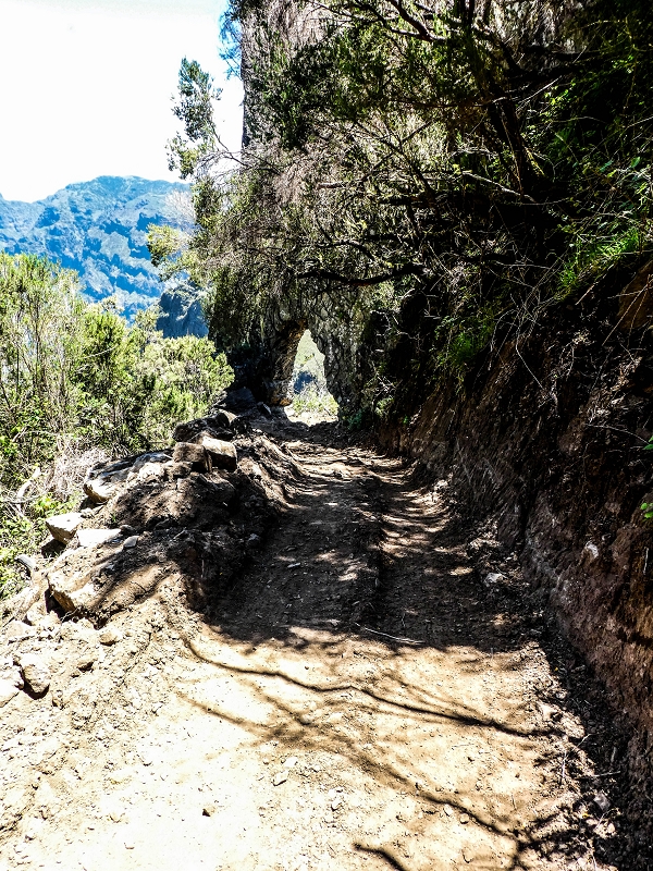 15.05.2019 Das Felsentor an der Levada do Lombo do Mouro — Auf dem Beginn der Levada do Lombo do Mouro — Foto 4
