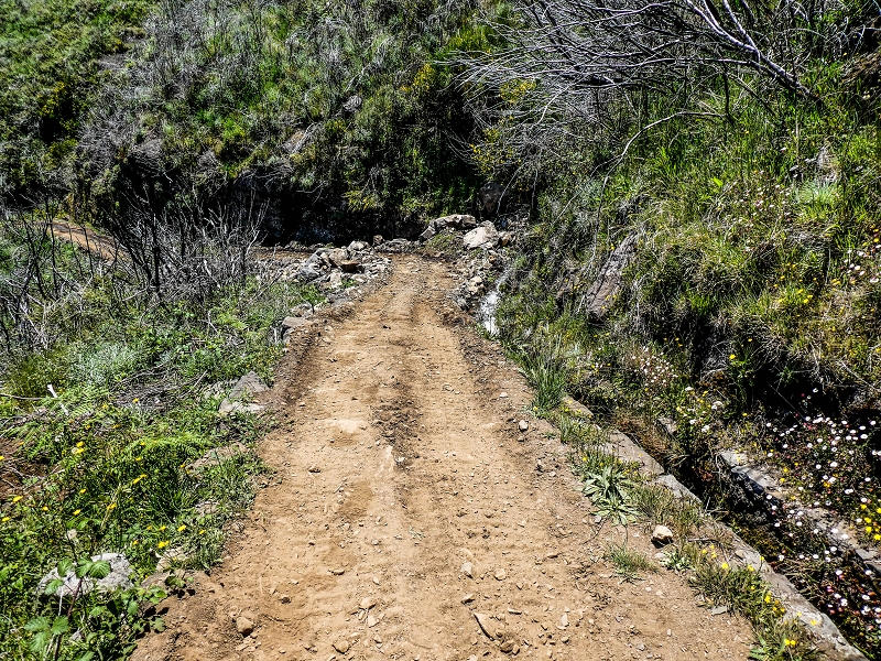 15.05.2019 Das Felsentor an der Levada do Lombo do Mouro — Auf dem Beginn der Levada do Lombo do Mouro — Foto 6